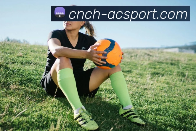 米兰体育官网服务体系